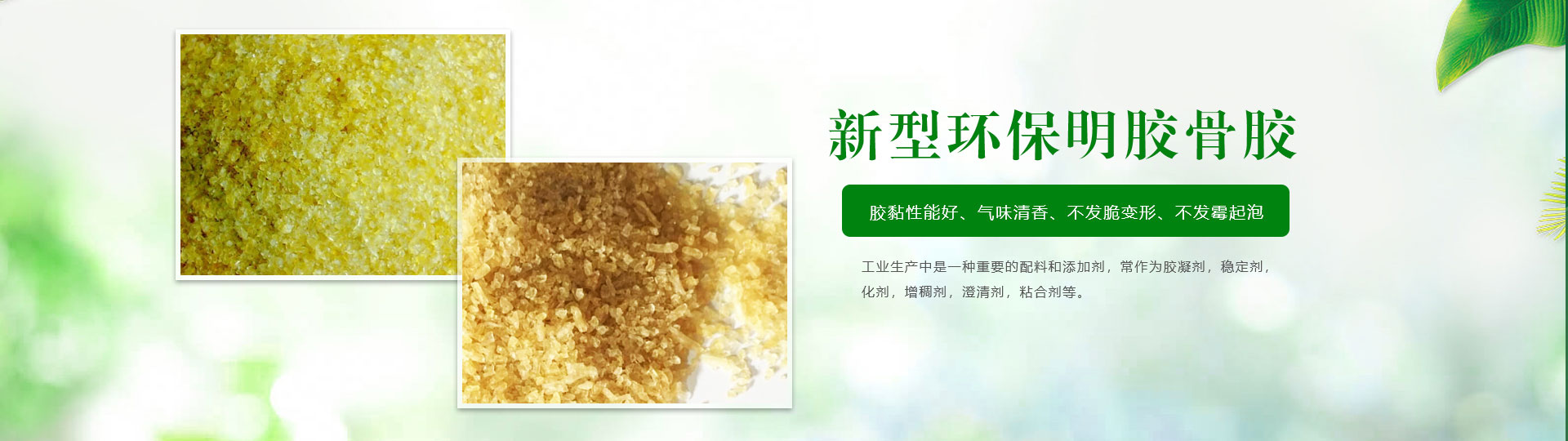 明胶厂家主营工业明胶、工业骨胶等明胶价格优惠