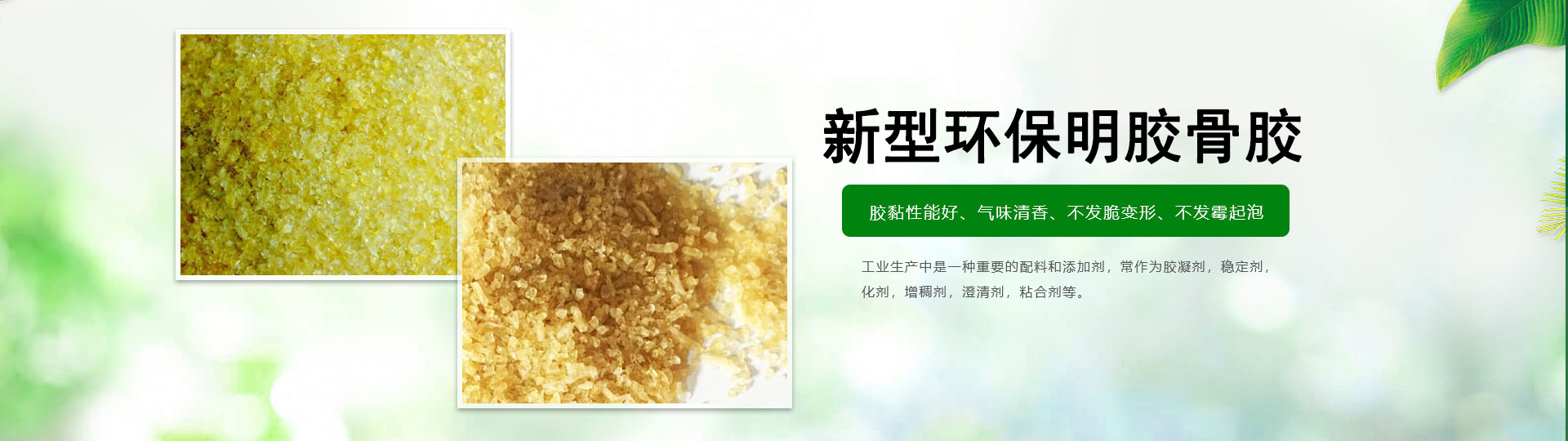 明胶厂家主营工业明胶、工业骨胶等明胶价格优惠